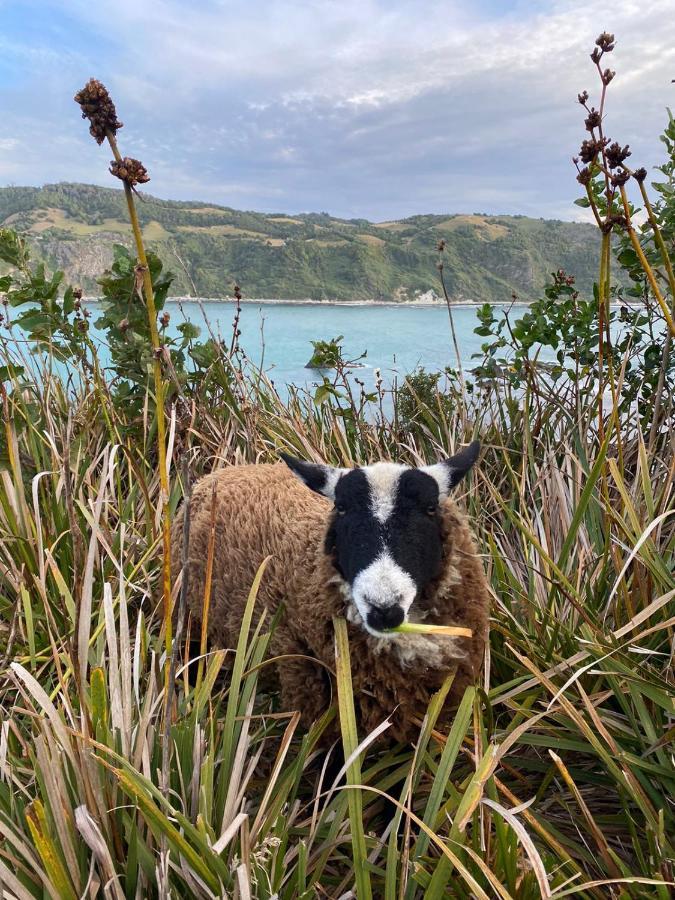 Willa Vertientes De Pumillahue, Chiloe Zewnętrze zdjęcie